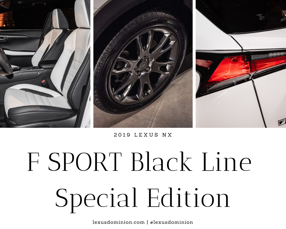 2019 NX F SPORT Black Line Special Edition